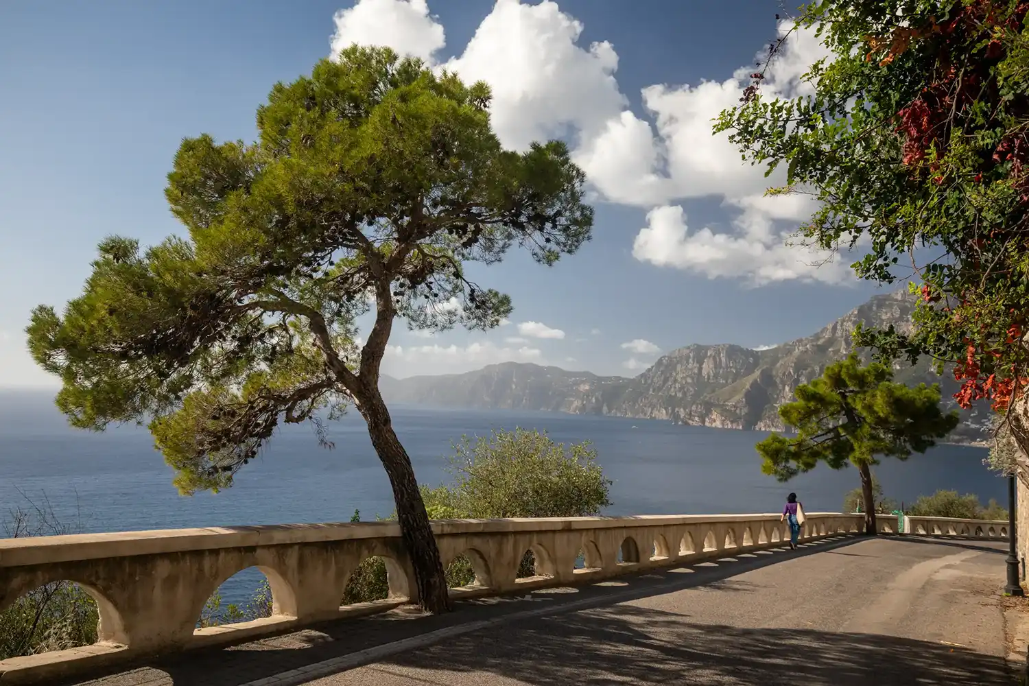 Lightroom Auto button in the Basic panel