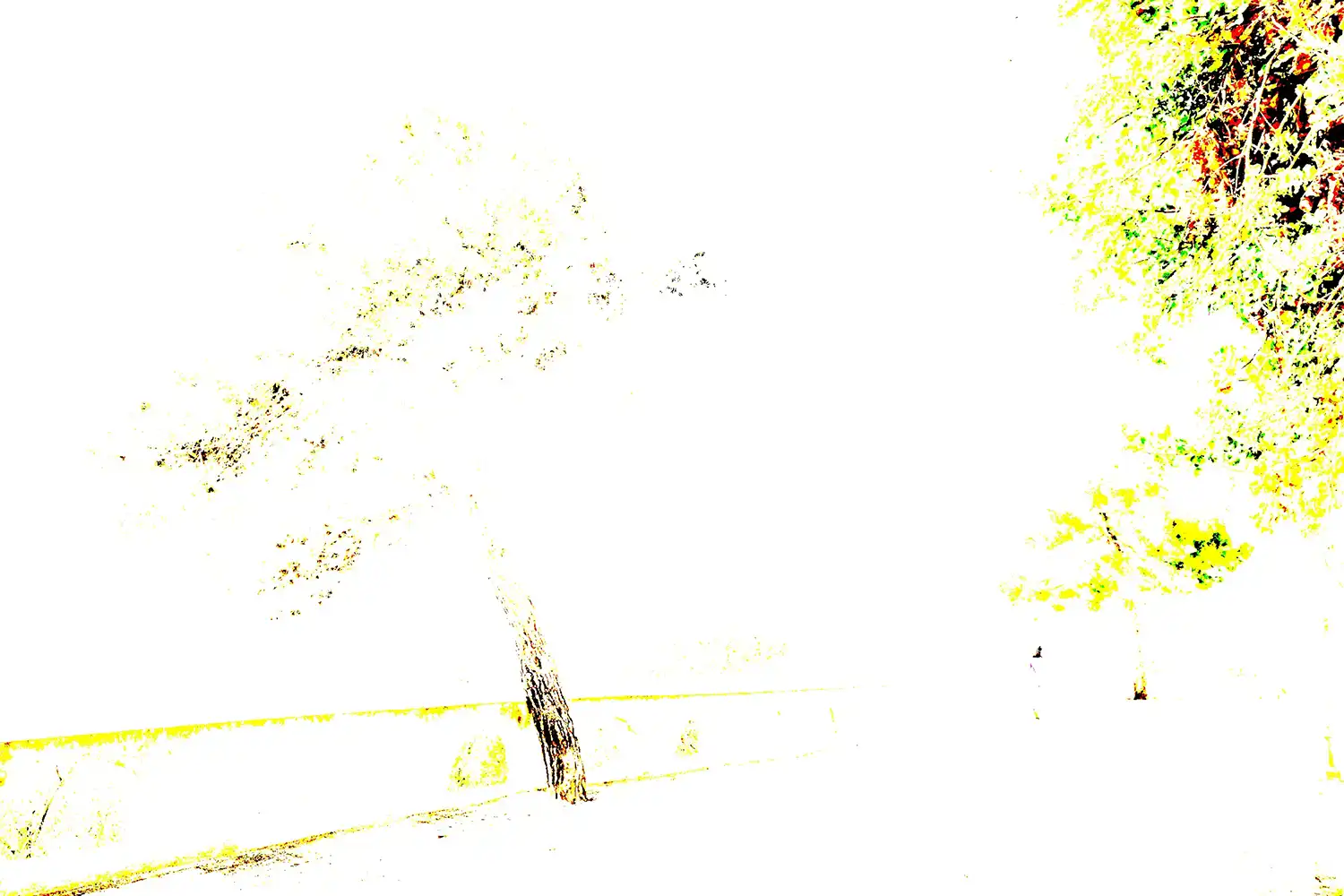 Lightroom Basic panel whites and blacks sliders