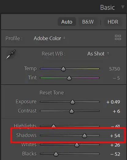 Lightroom Basic panel highlights and shadows sliders