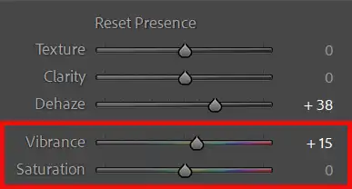 Lightroom Basic panel vibrance and saturation sliders