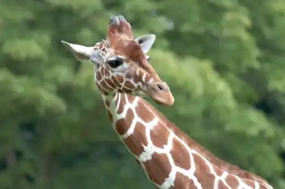 adjustment-layers-tutorial