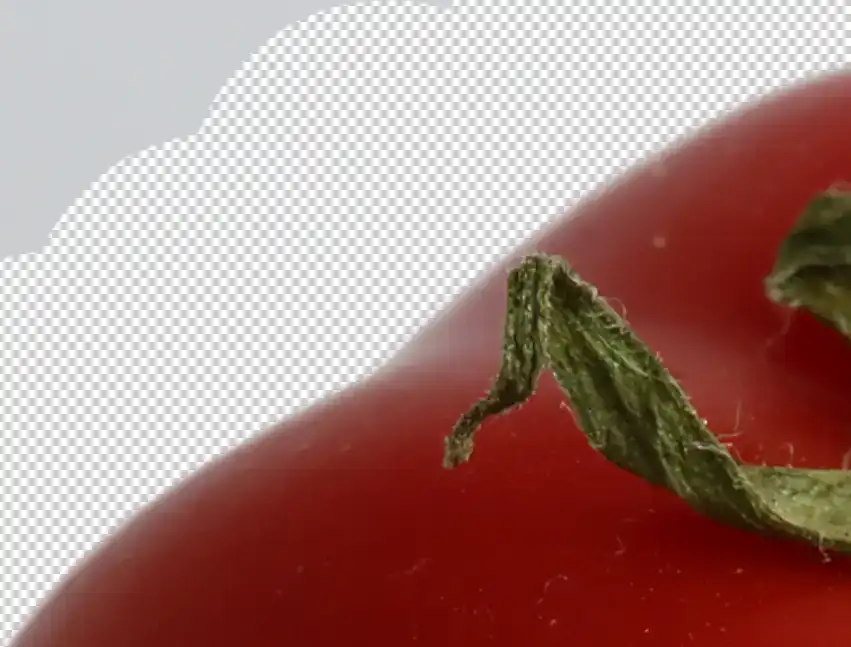 background-eraser-tool-tutorial