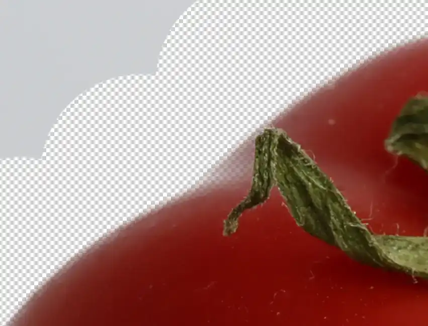 background-eraser-tool-tutorial