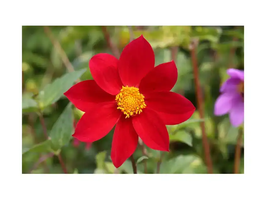 adjustment-brush-tutorial