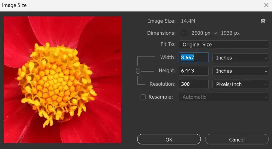 adjustment-brush-tutorial