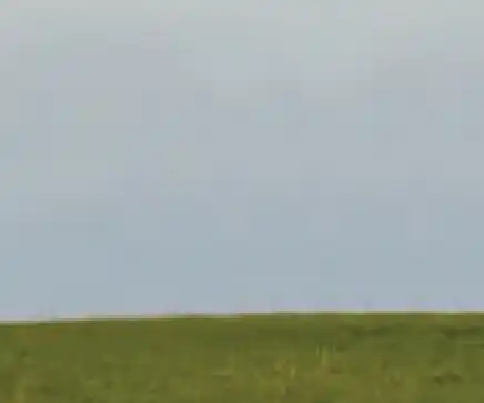 Photoshop Clone Stamp Tool Tutorial