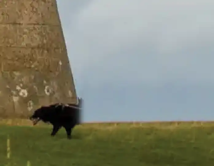 Photoshop Clone Stamp Tool Tutorial