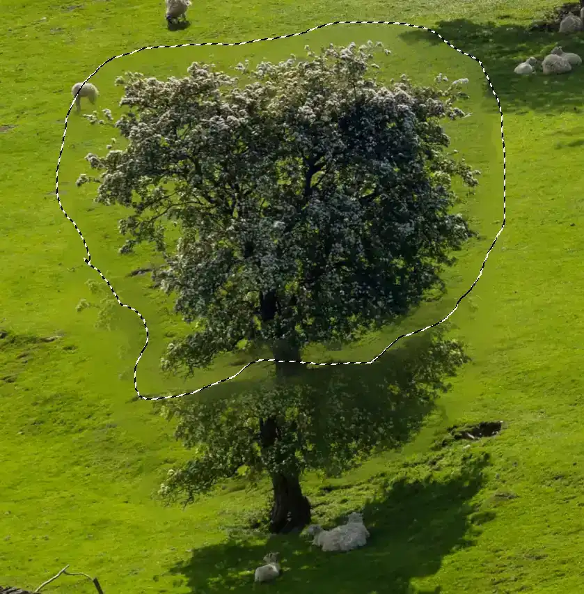 content-aware-move-tool-tutorial