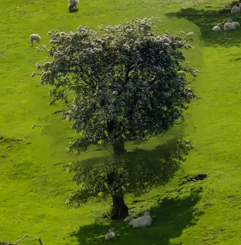 content-aware-move-tool-tutorial