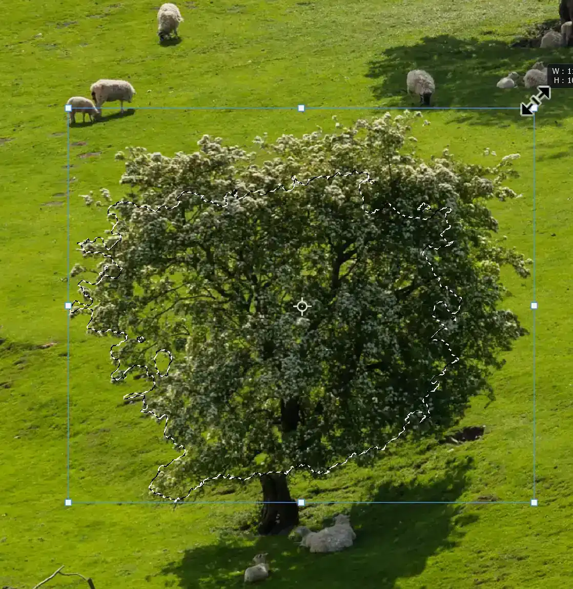 content-aware-move-tool-tutorial