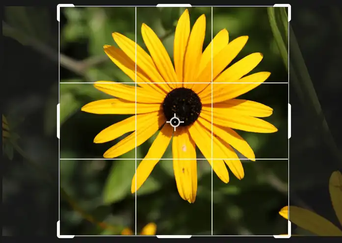 create crop preset tutorial