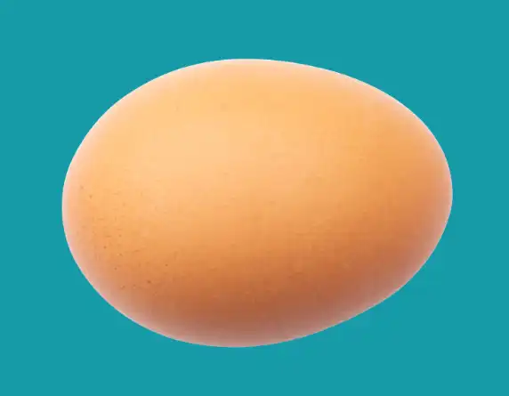 curvature pen tool tutorial