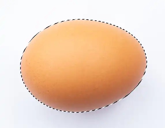 curvature pen tool tutorial