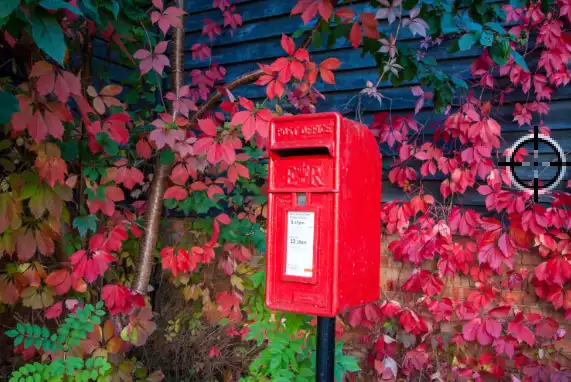 eyedropper tool tutorial