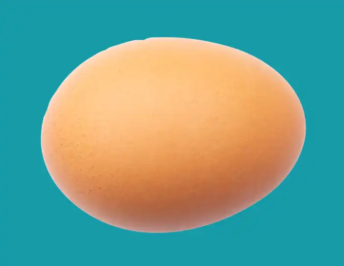 freeform pen tool tutorial