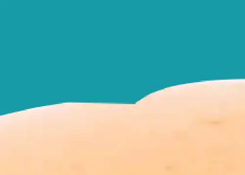 freeform pen tool tutorial