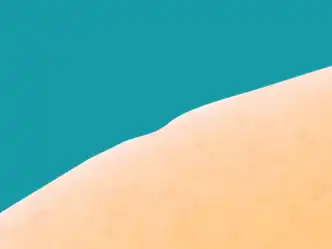 freeform pen tool tutorial