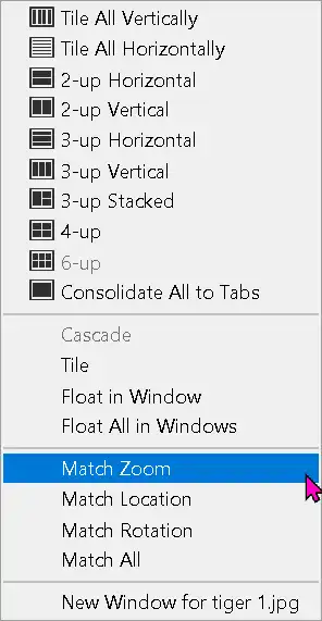 Photoshop Hand Tool Tutorial