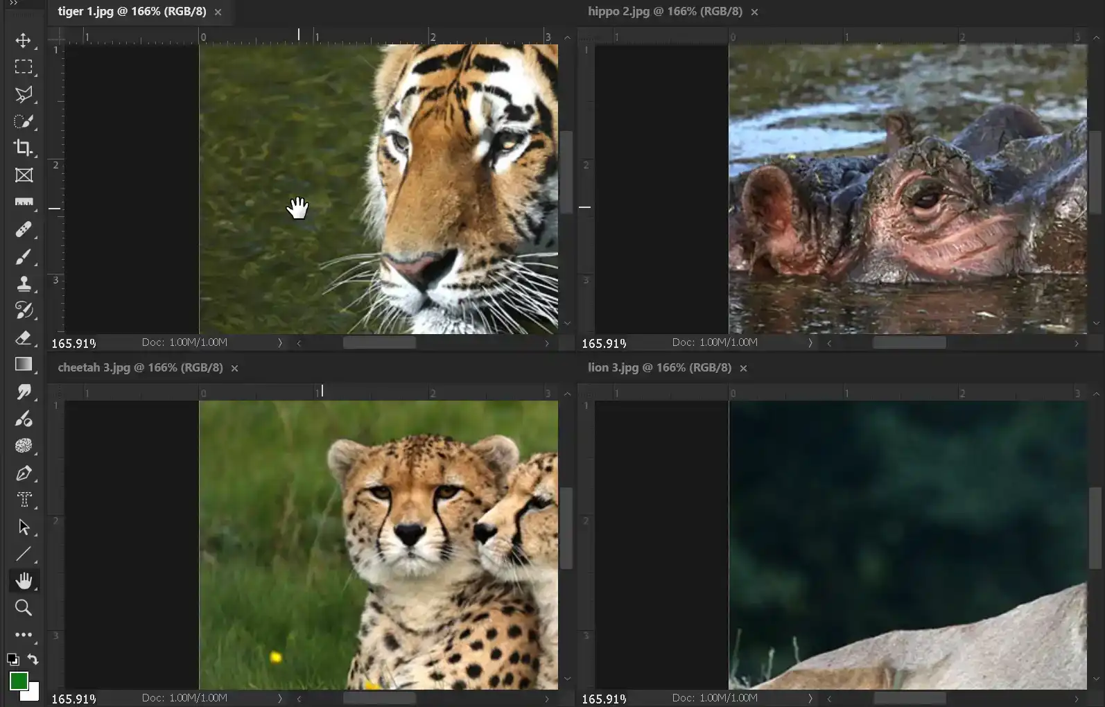 Photoshop Hand Tool Tutorial