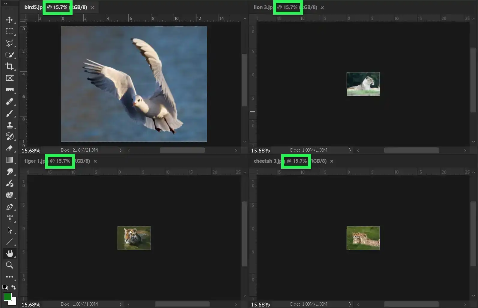 Photoshop Hand Tool Tutorial