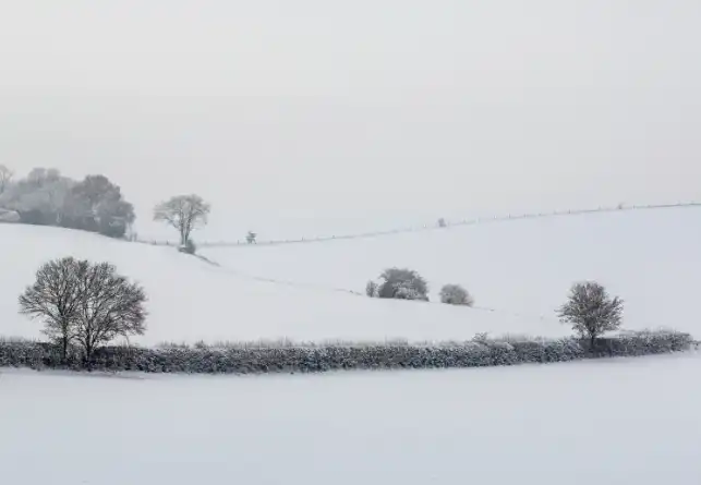 Photoshop Histogram Tutorial