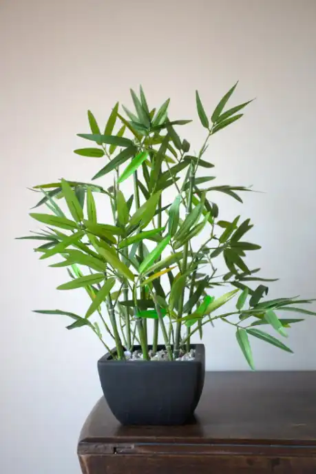 Photoshop Histogram Tutorial