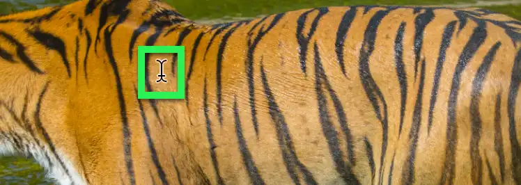 Photoshop horizontal type mask tool Tutorial