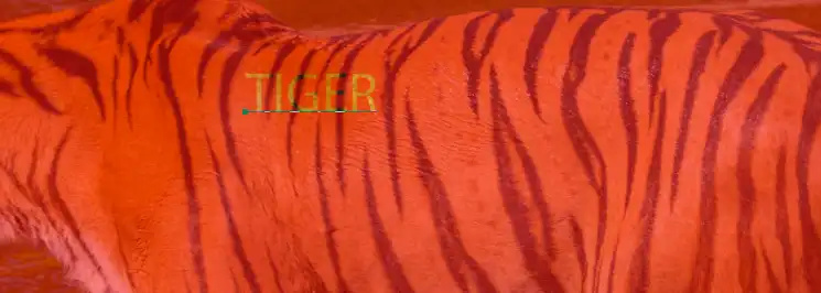 Photoshop horizontal type mask tool Tutorial