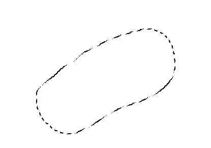 Photoshop Lasso Tool Tutorial