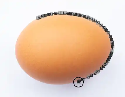 Photoshop Magnetic Lasso Tutorial