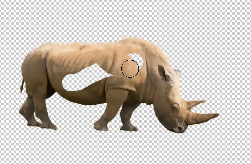 Photoshop Layer Masks basics Tutorial