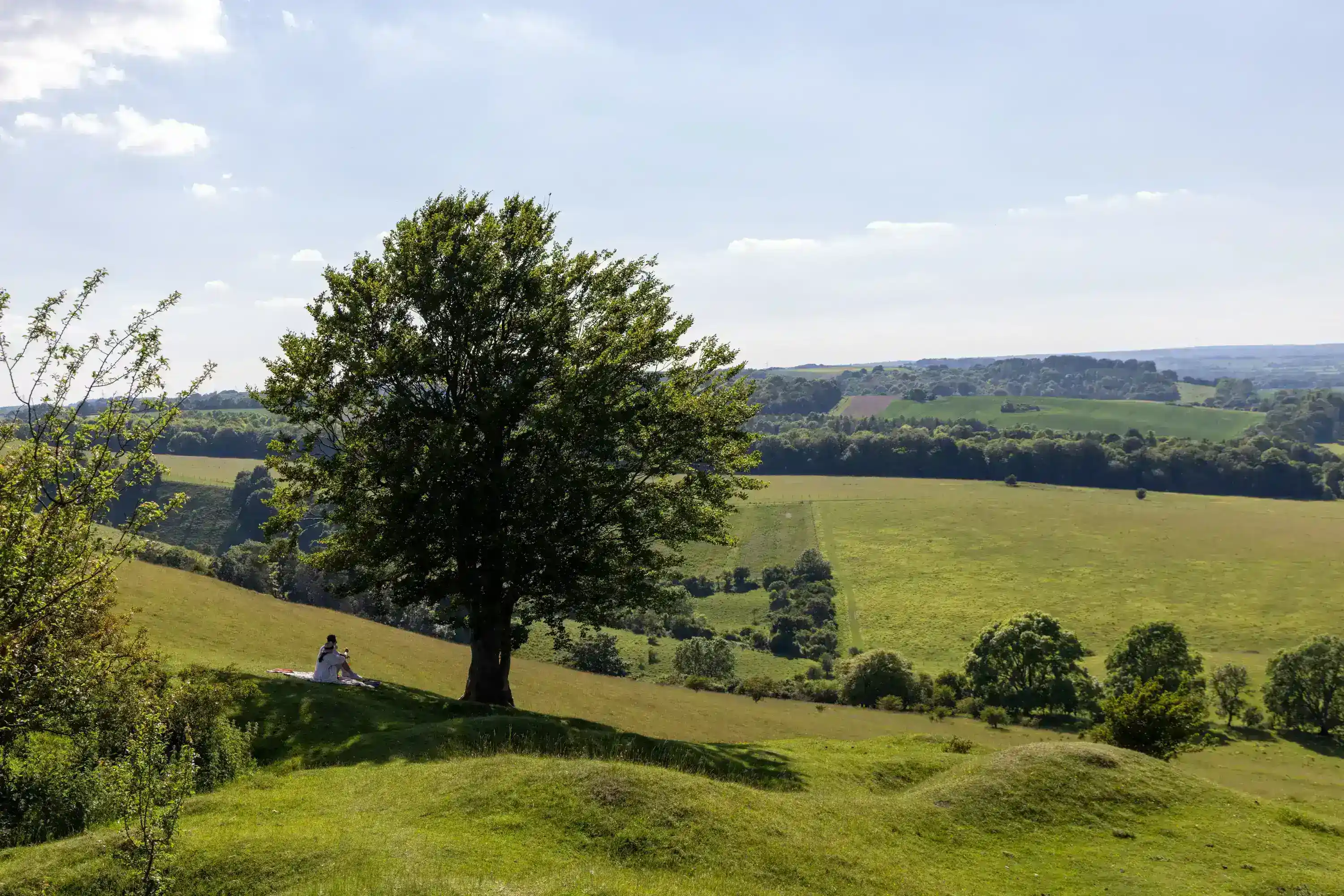 Photoshop Magic Wand Selection Tool Tutorial