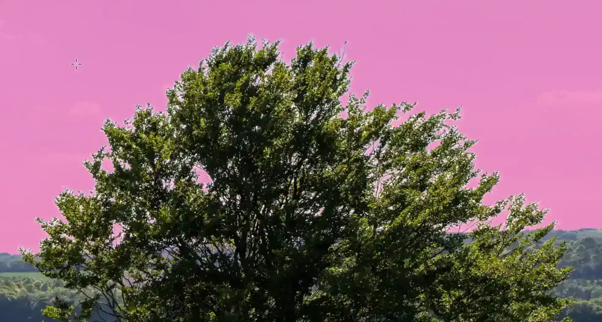 Photoshop Magic Wand Selection Tool Tutorial