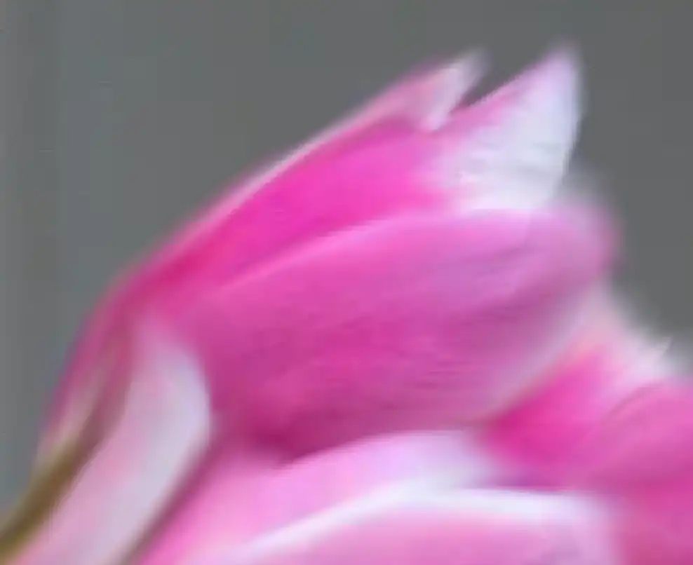 Photoshop Mixer Brush Tool Tutorial