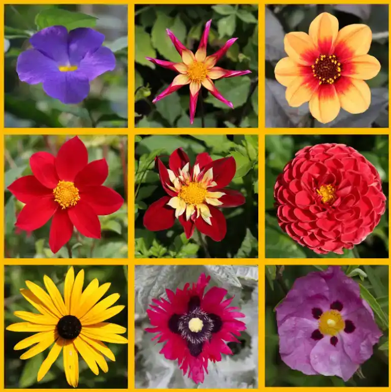 blending mode hand color tutorial