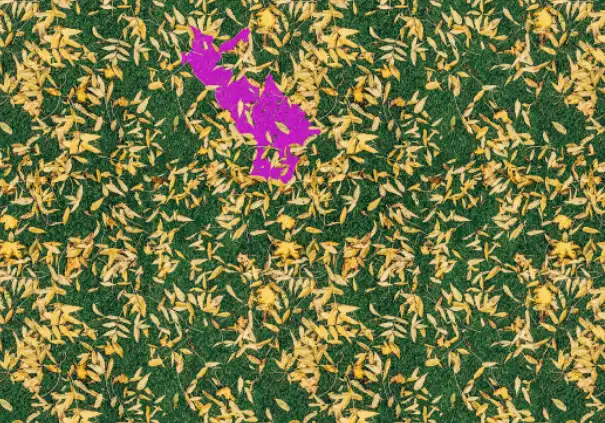 Photoshop Paint Bucket Tool Tutorial