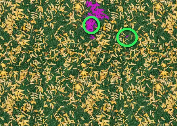 Photoshop Paint Bucket Tool Tutorial