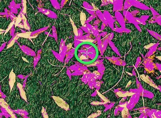 Photoshop Paint Bucket Tool Tutorial