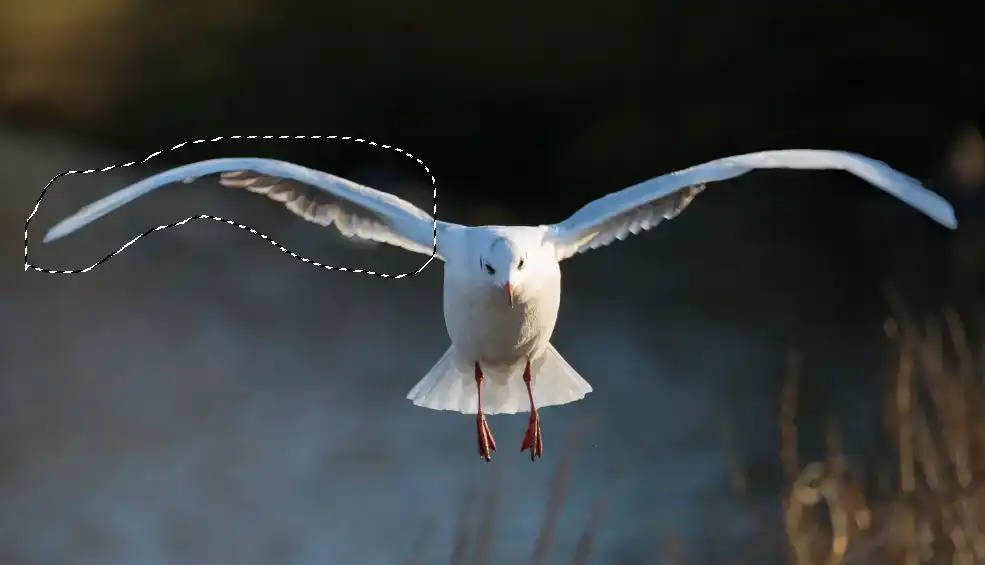 Photoshop Patch Tool Tutorial