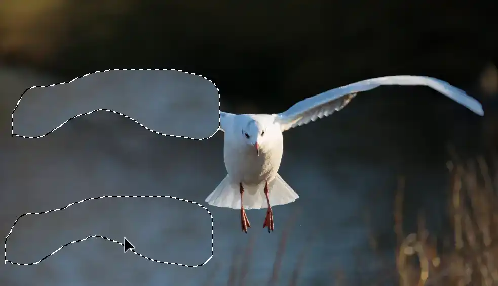 Photoshop Patch Tool Tutorial