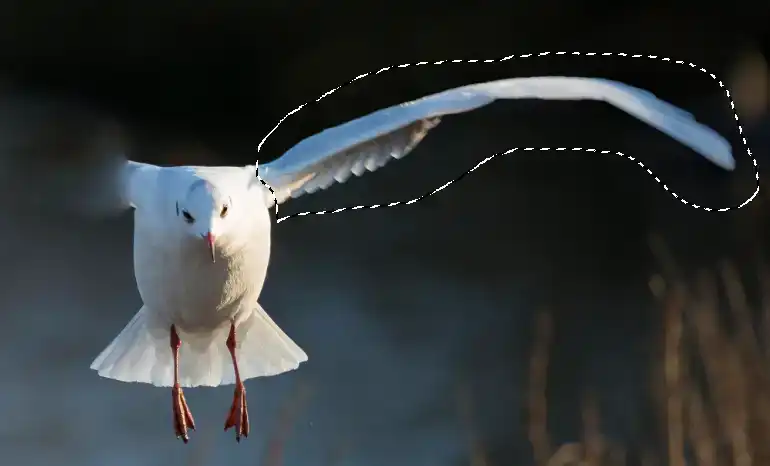 Photoshop Patch Tool Tutorial