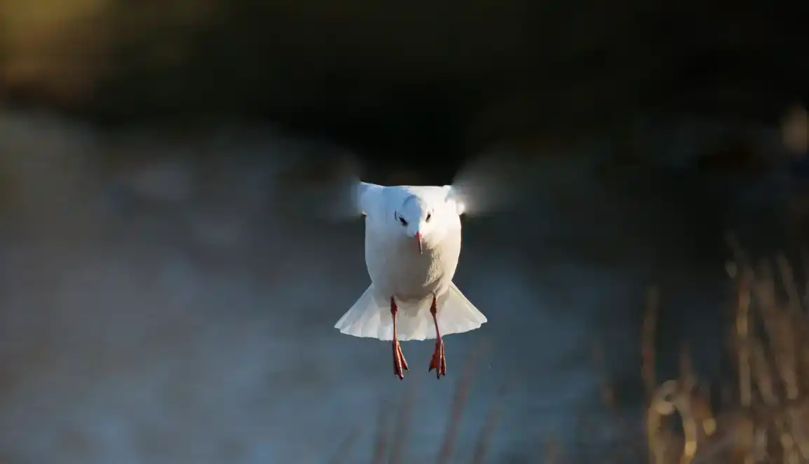 Photoshop Patch Tool Tutorial