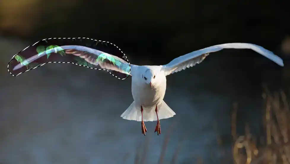 Photoshop Patch Tool Tutorial