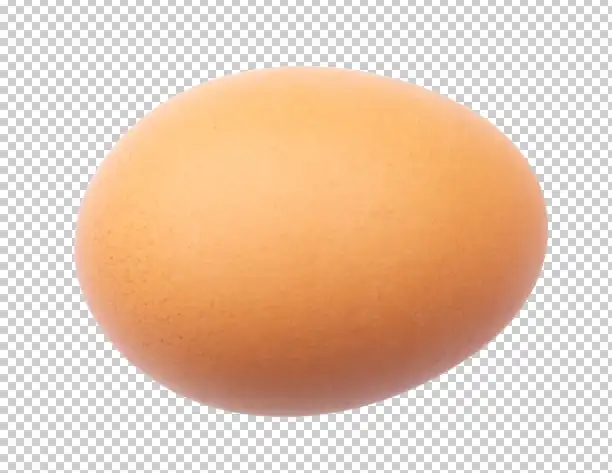 Photoshop Pen Tool Tutorial