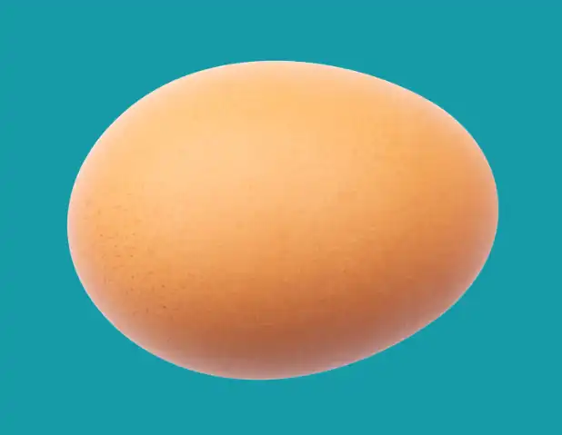 Photoshop Pen Tool Tutorial