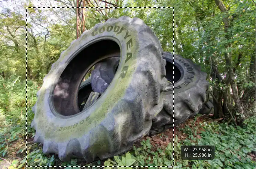 Photoshop Quick Selection Tool Tutorial