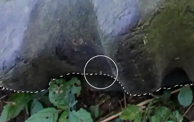 Photoshop Quick Selection Tool Tutorial