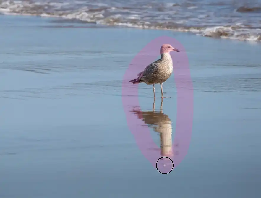 Photoshop Remove Tool Tutorial