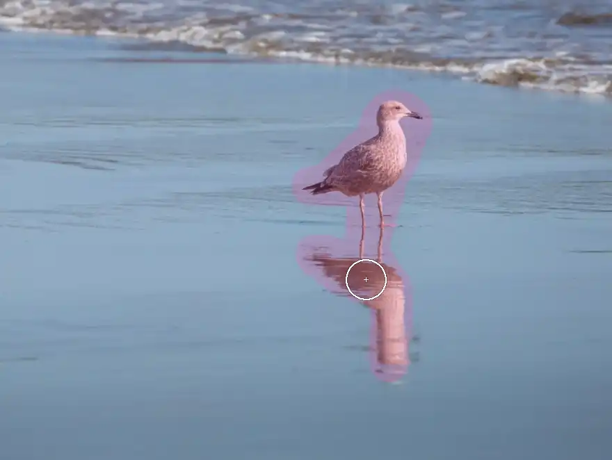 Photoshop Remove Tool Tutorial