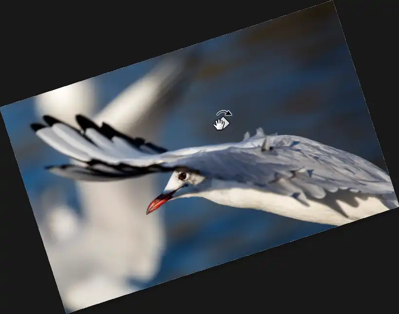 Photoshop Rotate Tool Tutorial